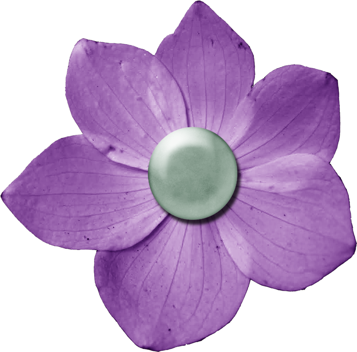 Dark Purple Flower - Dark Pink Flowers Png (1200x1200), Png Download
