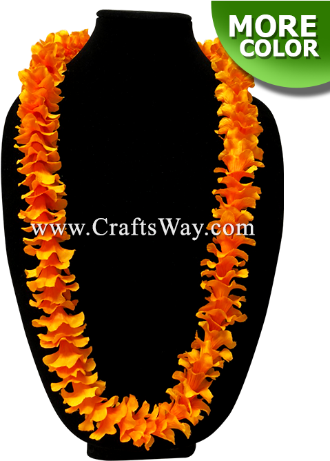 Circle (550x680), Png Download