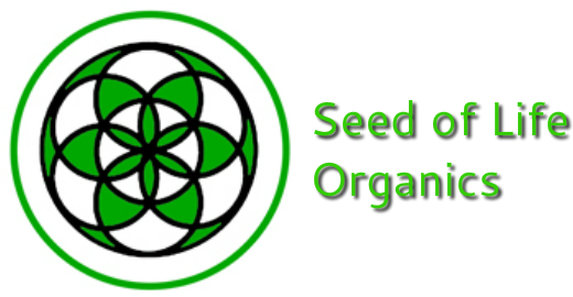 Philosophy (545x269), Png Download