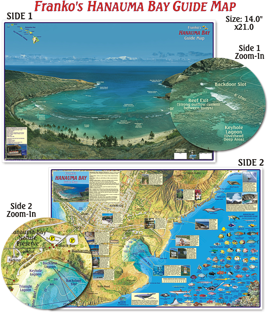 Waterproof Folded Map Or Laminated Poster - Franko Maps Hanauma Bay Adventure Guide (543x641), Png Download