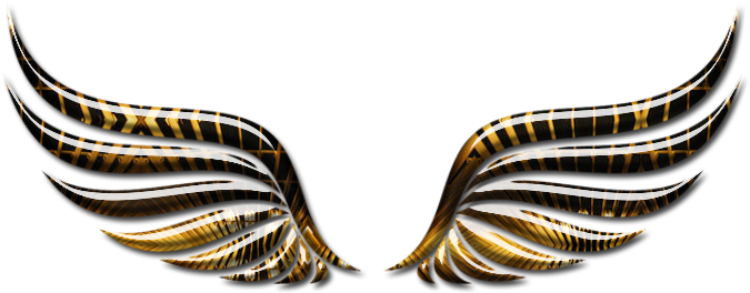 Estilos De Alas Png - Illustration (704x284), Png Download