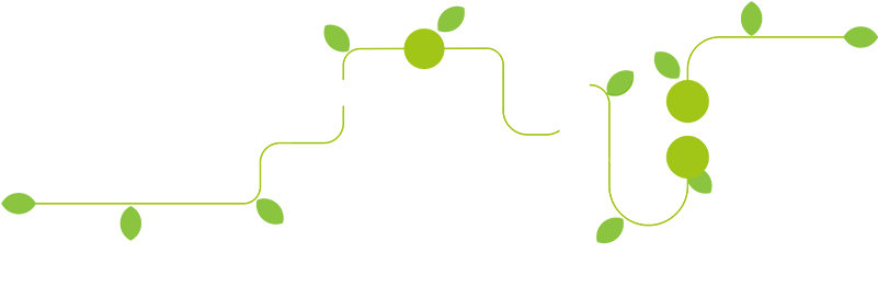 Seed & Grow Your Business - 2018 (800x289), Png Download