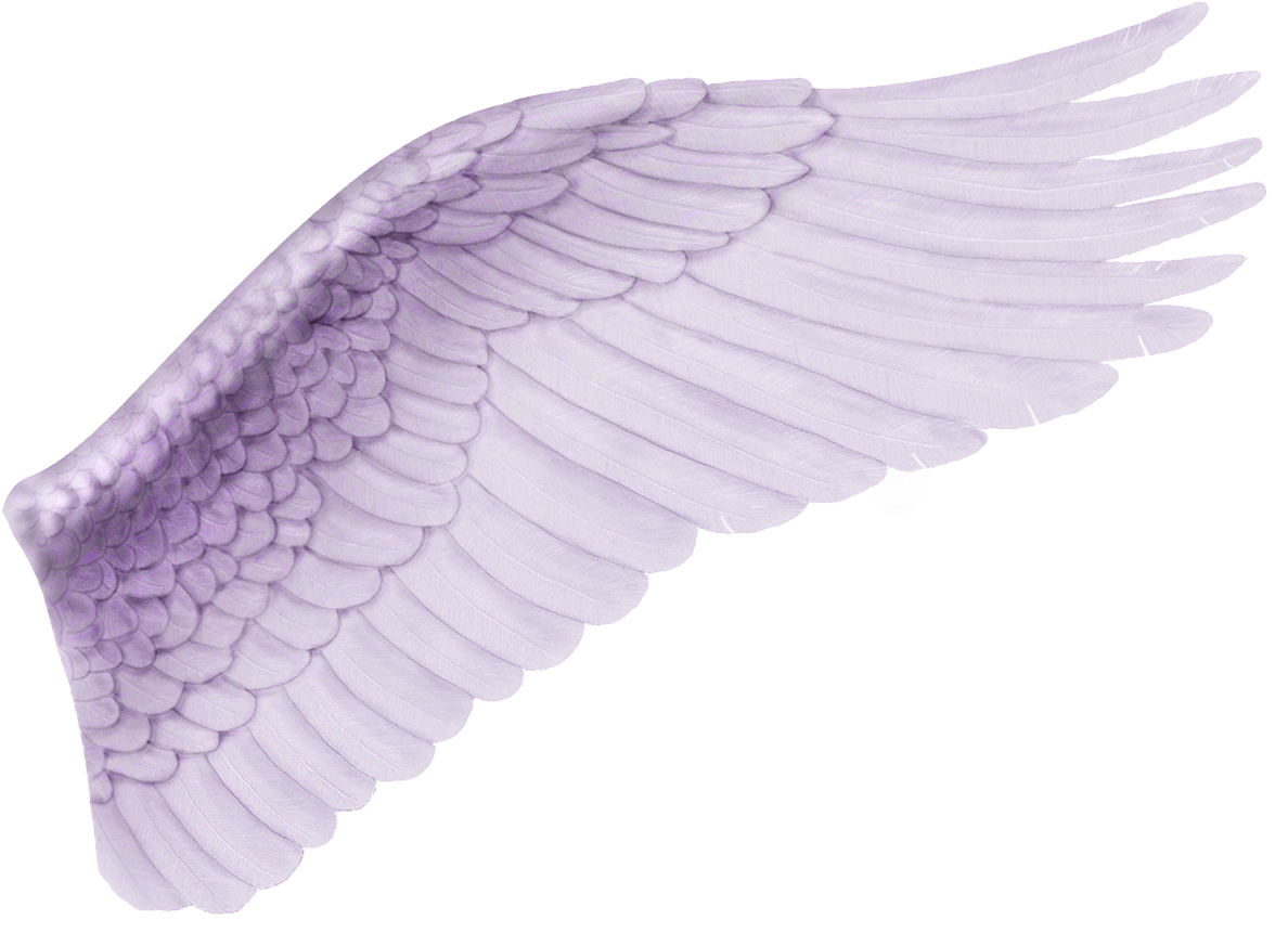Ejemplo De Uso, Ya Duplicando La Capa Y Aplicando Una - Alas Para Photoshop (1200x900), Png Download