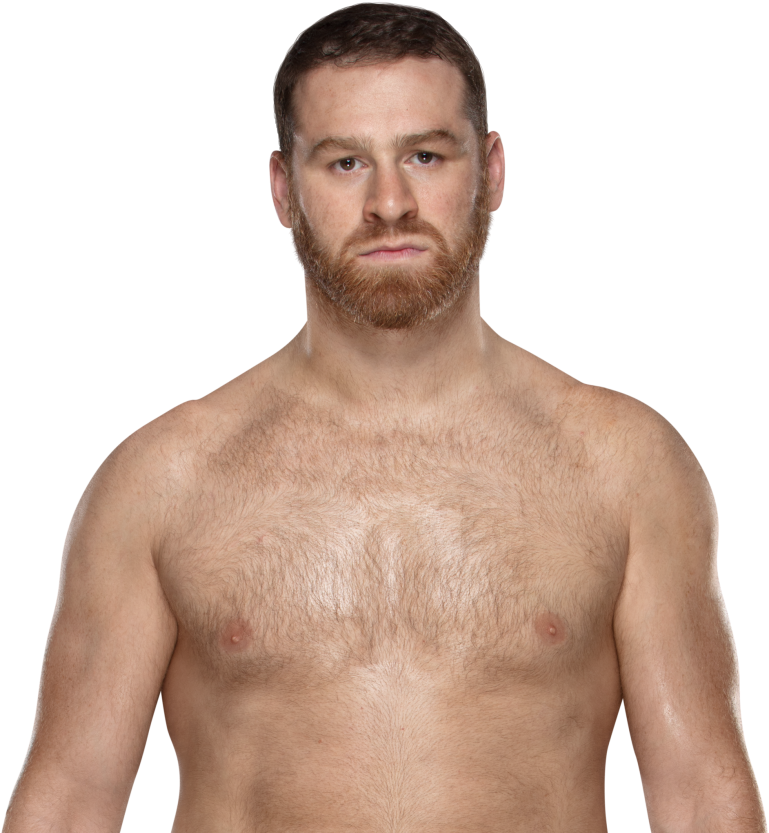 Sami Zayn - Sami Zayn United States Champion (1200x849), Png Download