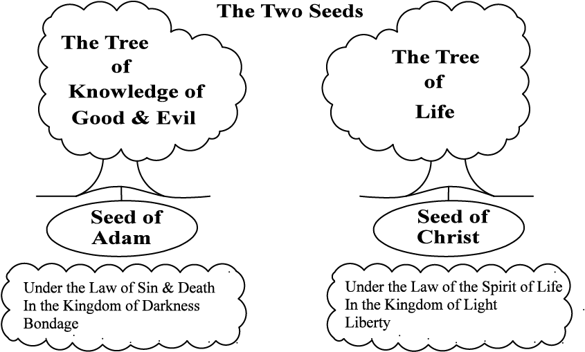 Lesson 8 Figure - Second Coming Of Christ Study Guide (1050x563), Png Download