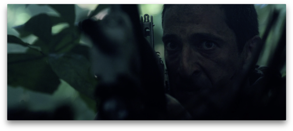 Brody Predators - Portable Network Graphics (1000x449), Png Download