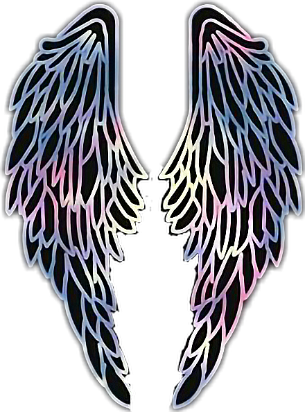 Report Abuse - Hush Hush (440x594), Png Download