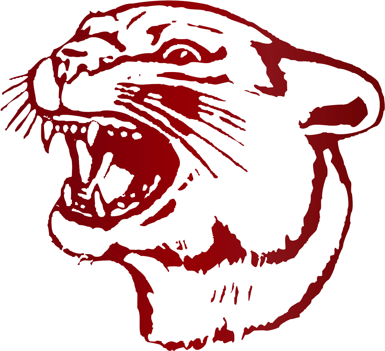 Cougar Athletics - South Decatur Cougars (1275x1275), Png Download