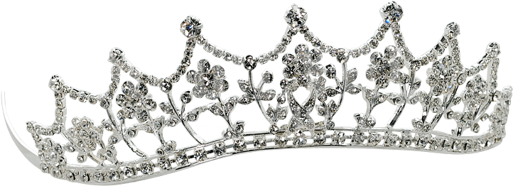 Classic Princess Tiara - Jewellery (721x721), Png Download