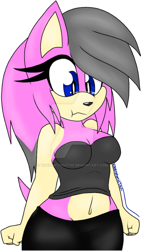 Aaliyah The Hedgehog - Comics (530x825), Png Download