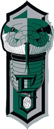 1-slytherin - Hogwarts School Of Witchcraft And Wizardry (256x469), Png Download