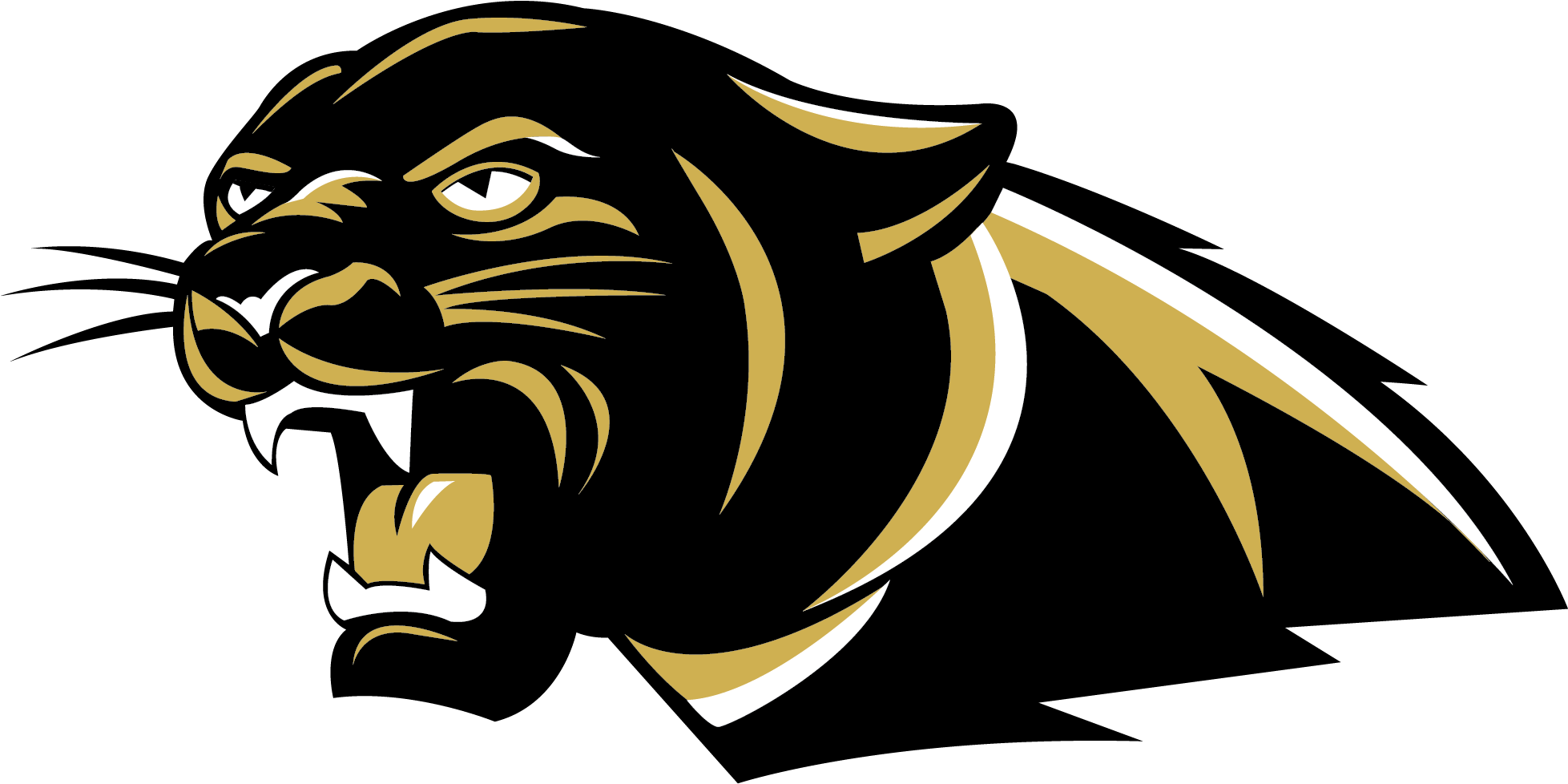 The Colony High School - Transparent Cougar Head (2142x1142), Png Download