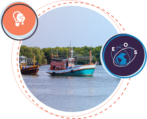 Fish Stocks - Fish (486x392), Png Download