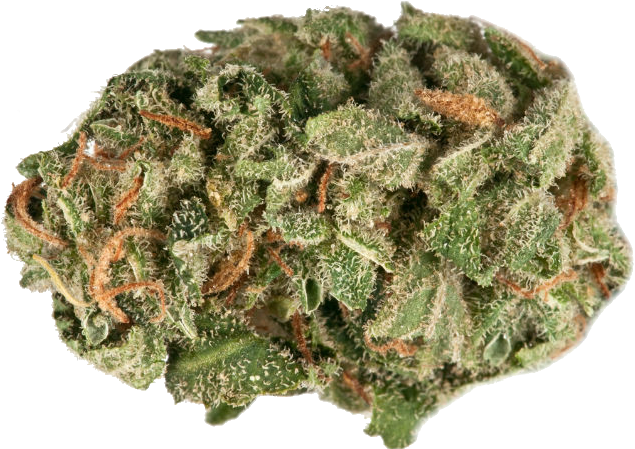 Nedband Light Caviar Telluride - Kush Png (800x500), Png Download