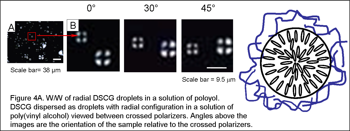 File - Wwf4a - Liquid Crystal And Protein (1377x515), Png Download