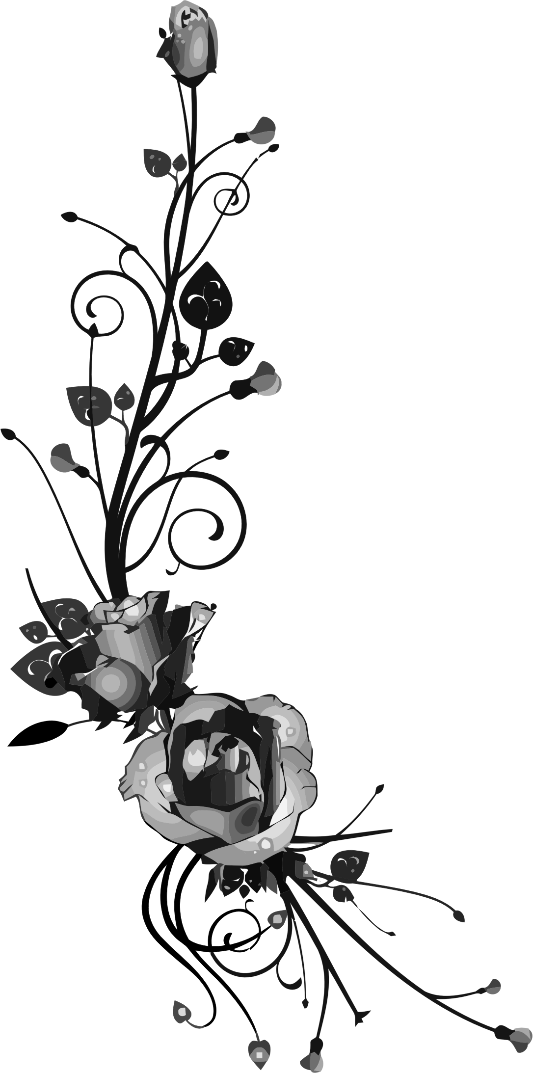 Floral Big Image Png - Rose Flourish (1086x2186), Png Download