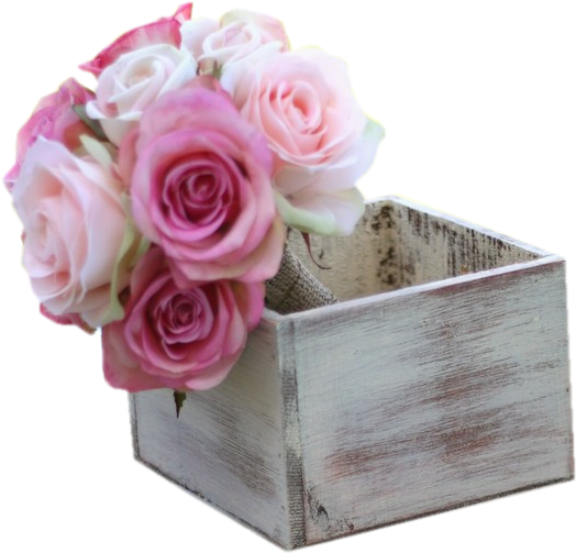 Fleurs Png Tubes Fleurs (570x580), Png Download