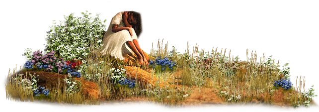 Background Tubes - Tubes Ou Images Paysages (676x232), Png Download