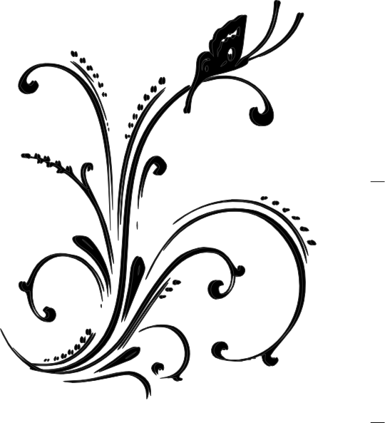 Scroll Png (540x593), Png Download