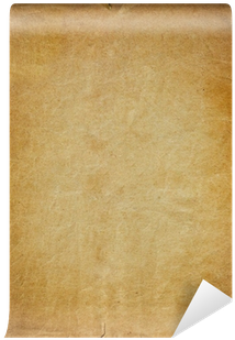 Wood (400x400), Png Download