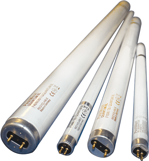 Pestwest Quantum® Shatterproof Tubes - Tubos Fluorescentes (800x600), Png Download