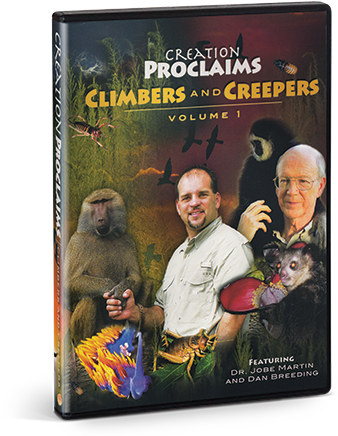 Sale - Creation Proclaims: Volume 1 - Climbers And Creepers (440x440), Png Download