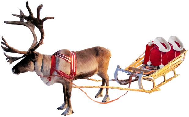 Png Transparent Stock Santa Sleigh Png - Christmas Reindeer Transparent Background (624x416), Png Download