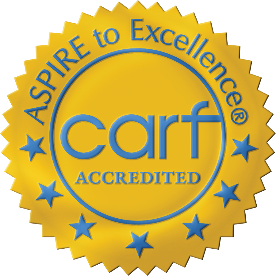 Gold Seal Carf The Abilities Connection - Carf Accreditation Logo (708x628), Png Download