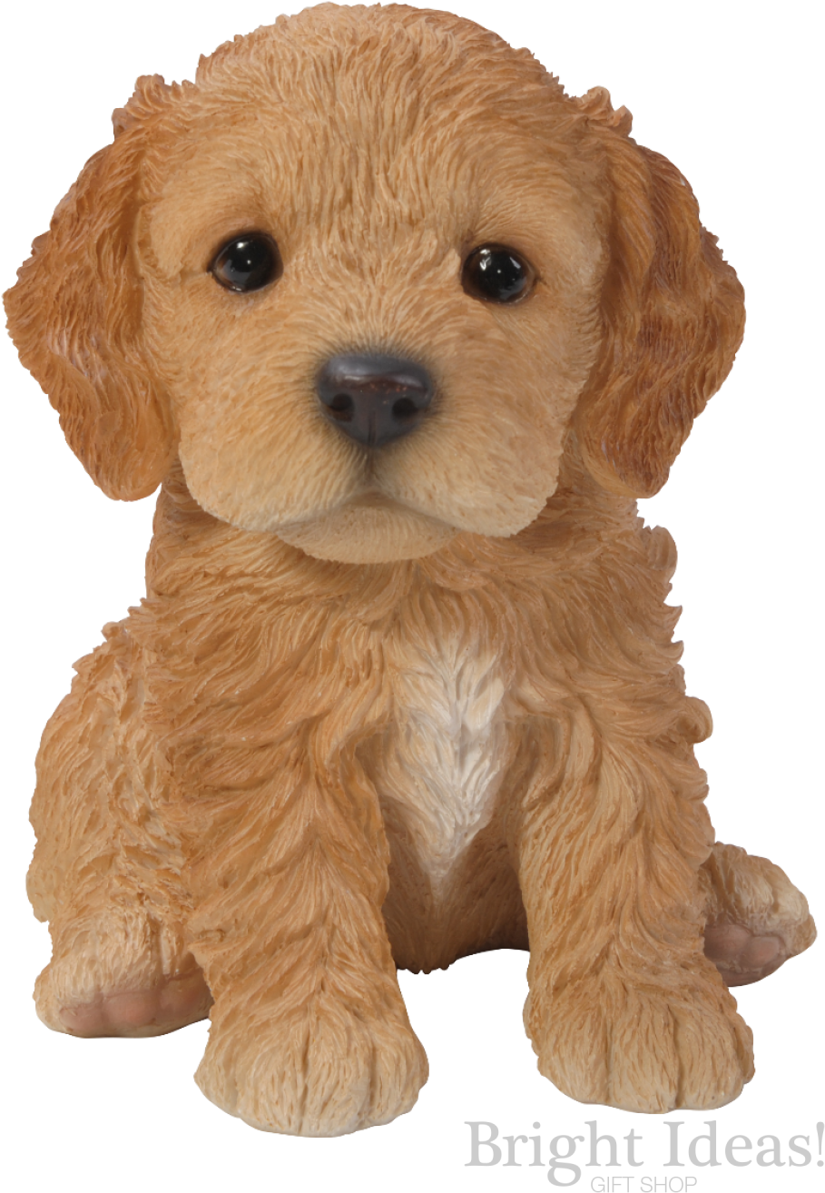 Cockapoo Vivid Arts Pet Pals Puppy Dog Real Life - Cockapoo Puppy (1000x1410), Png Download