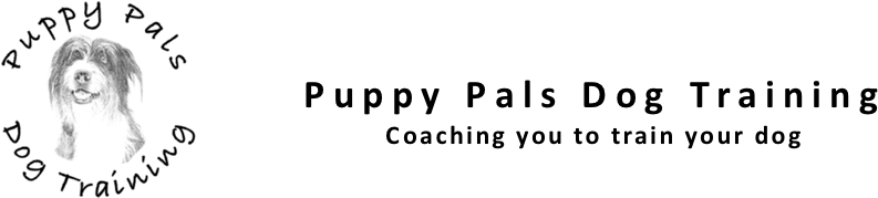 Graphics (900x200), Png Download