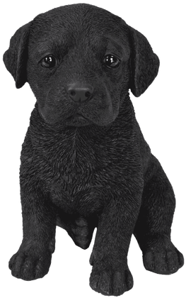 Pet Pals Black Labrador Puppy - Black Labrador Puppy (420x420), Png Download