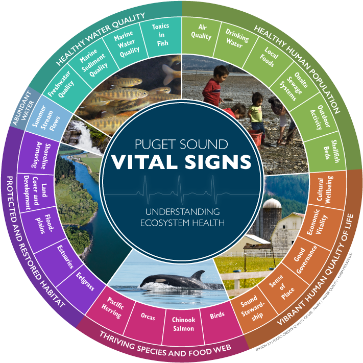 What Are The Vital Signs And How Are They Used - Vital Signs Puget Sound (731x730), Png Download