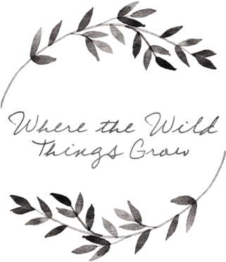 Whatever Is Lovely Gratitude Journal (320x379), Png Download