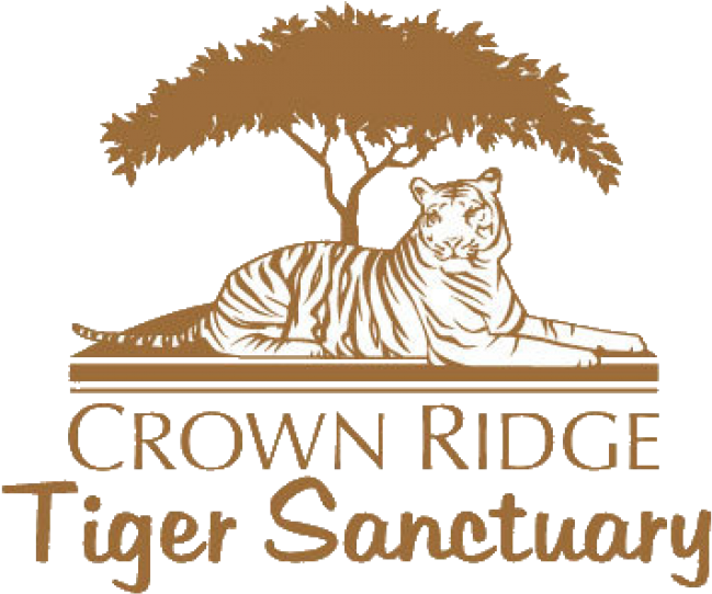 Visit Website - Herban Tea: Poet's Tea Party (650x650), Png Download