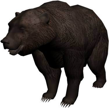 Oso - Oso En Png (640x480), Png Download