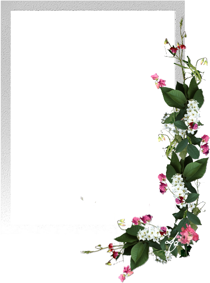 Pin By Terri Tavares On Border - Border Png (447x612), Png Download