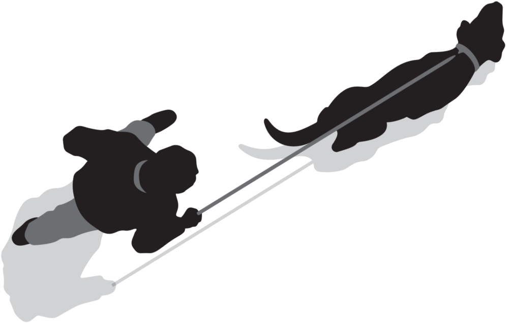 Man Walking With Dog - Illustration (2106x1212), Png Download