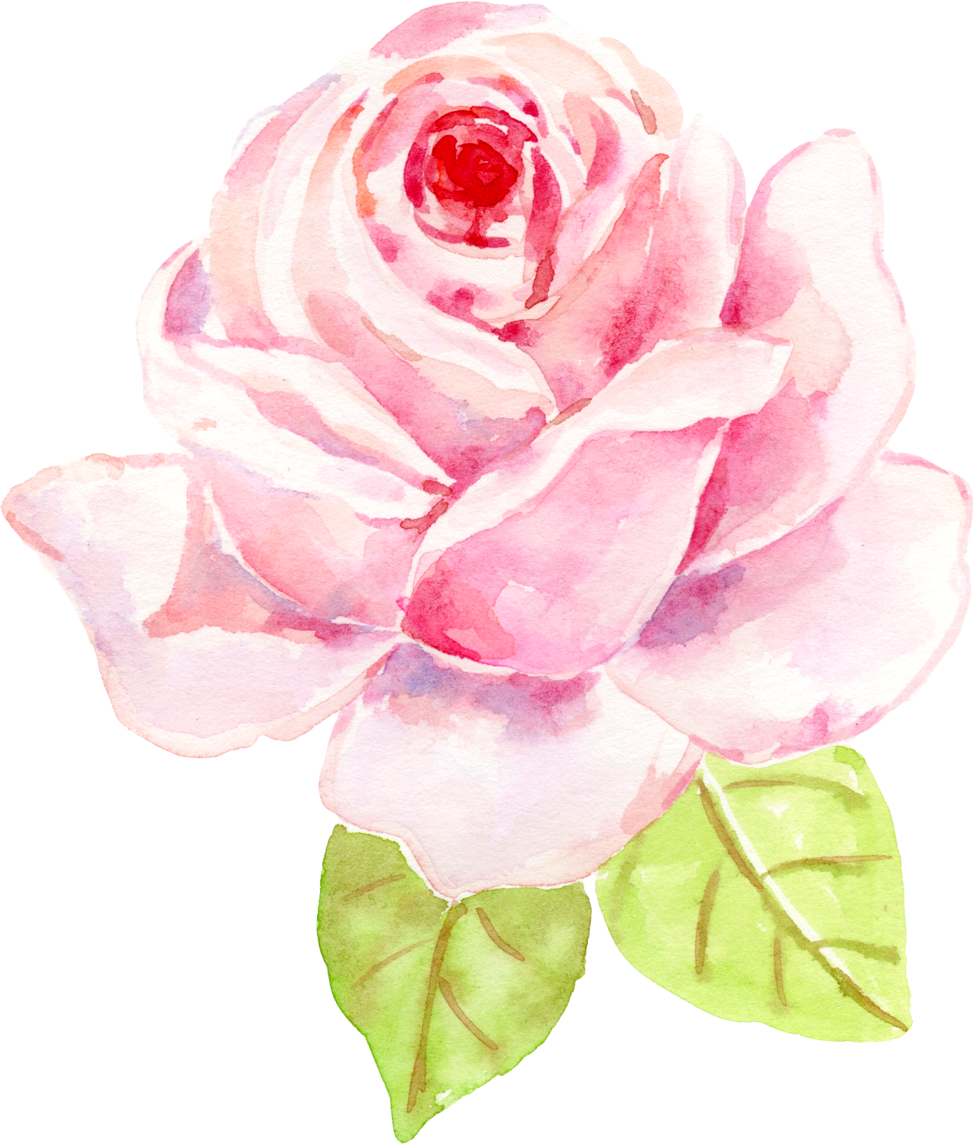 0℃素材48 - 水彩 玫瑰 (1472x1687), Png Download