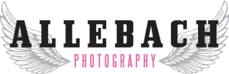 Allebach Photography - Bride (766x250), Png Download