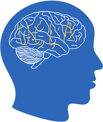 Uclasynapse@gmail - Com - Illustration (724x960), Png Download