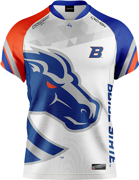 2018 Boise State Team Jersey - Boise State Broncos Logo Decal - 4.5 Inch X 3.5 Inch (536x655), Png Download