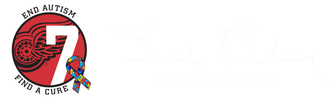 Logo Image - Team Golf 13948 Nhl Detroit Red Wings Switchfix Divot (650x196), Png Download