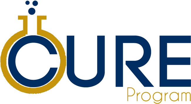 Coulter Undergraduate Research Excellence Program - Cure Fiu (666x384), Png Download