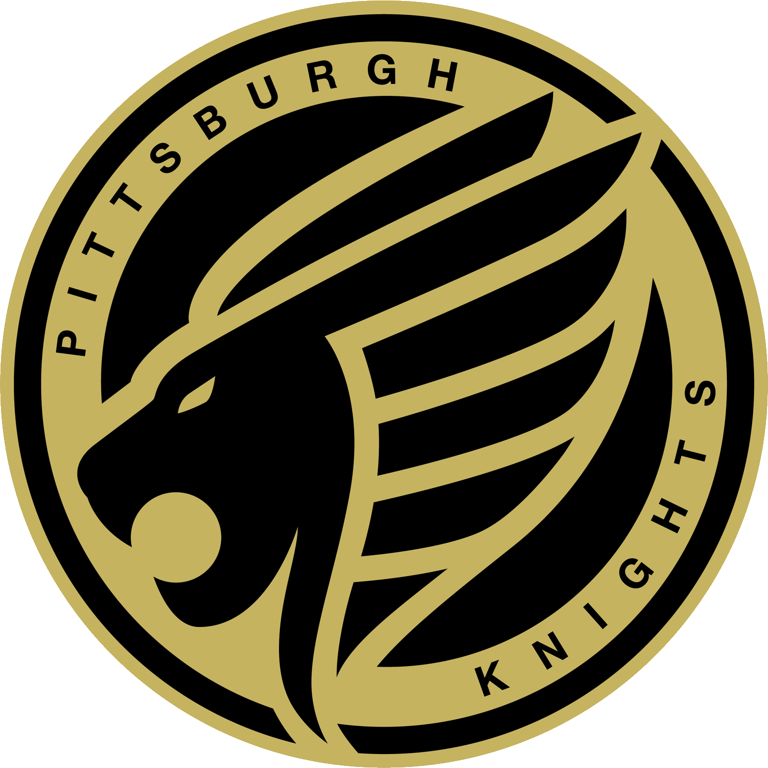 Pittsburgh Knights Logo Png (1536x1537), Png Download