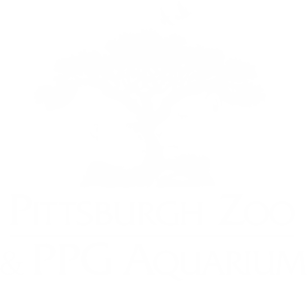 Pittsburgh Zoo Ppg - Montco 1614 Custom Vinyl Name Badges W/ 1-color Imprint (1114x1024), Png Download
