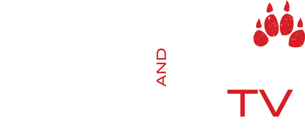 Join The Wired Outdoors Team As We Bring You A Semi - Television (977x450), Png Download