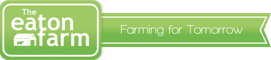 Logo - Turkey Meat (922x205), Png Download