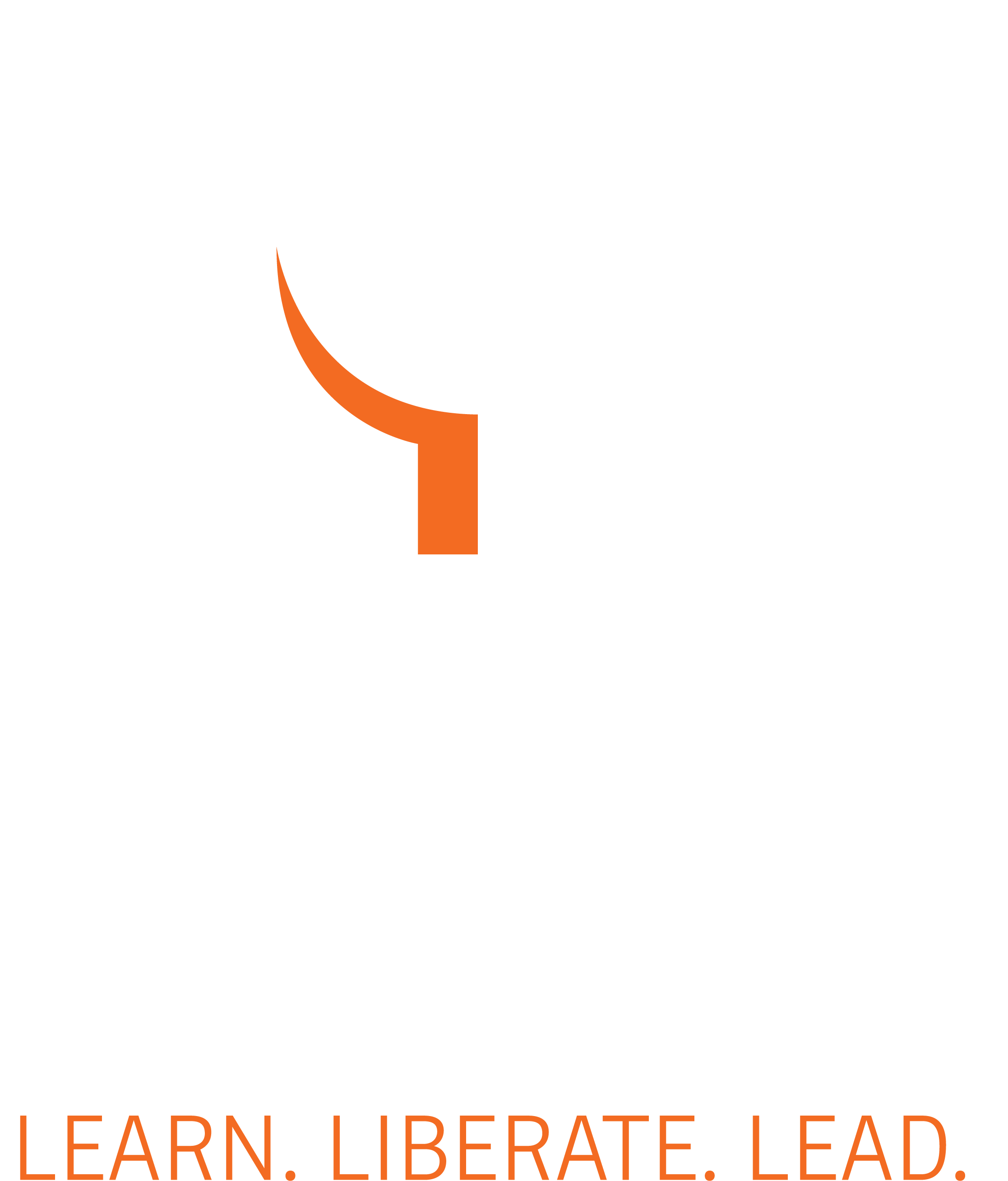 Gray - Stony Brook University Pennant (2400x2766), Png Download