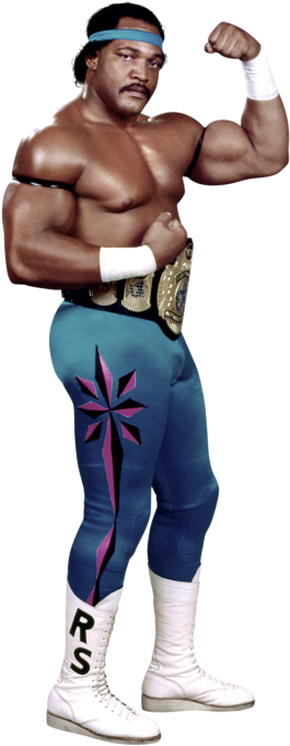 Ron Simmons - Wwe Ron Simmons (320x728), Png Download