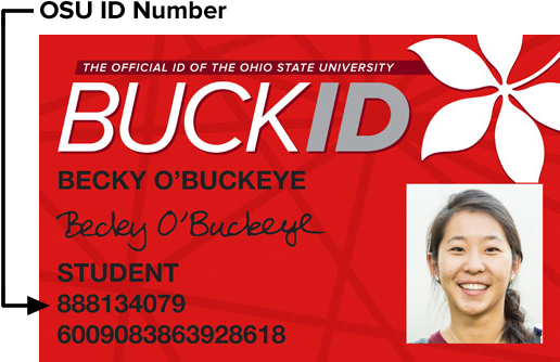 Osu Buckid (526x346), Png Download